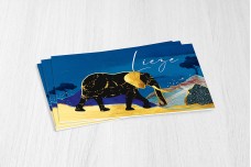Olifant in savanne Olifant in savanne